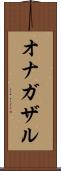 オナガザル Scroll