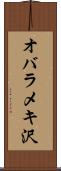 オバラメキ沢 Scroll