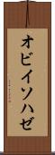 オビイソハゼ Scroll