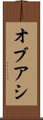 オブアシ Scroll