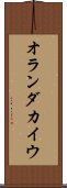オランダカイウ Scroll