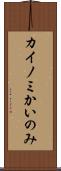 カイノミ Scroll