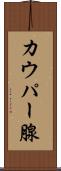 カウパー腺 Scroll