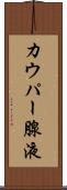 カウパー腺液 Scroll