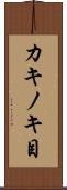 カキノキ目 Scroll