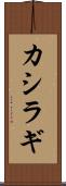 カシラギ Scroll