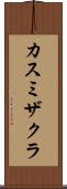 カスミザクラ Scroll