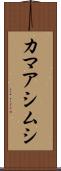 カマアシムシ Scroll