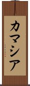 カマシア Scroll