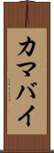 カマバイ Scroll