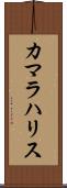 カマラハリス Scroll