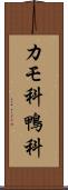 カモ科 Scroll