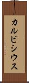 カルビシウス Scroll