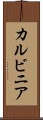 カルビニア Scroll