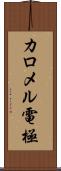 カロメル電極 Scroll