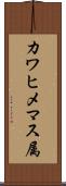 カワヒメマス属 Scroll