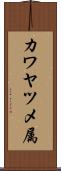 カワヤツメ属 Scroll