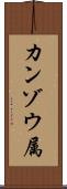 カンゾウ属 Scroll