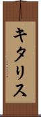 キタリス Scroll