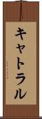 キャトラル Scroll