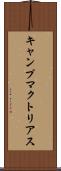 キャンプマクトリアス Scroll
