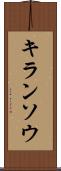 キランソウ Scroll