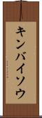 キンバイソウ Scroll