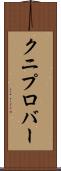 クニプロバー Scroll