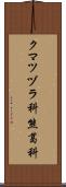クマツヅラ科 Scroll