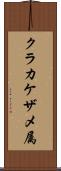 クラカケザメ属 Scroll