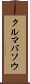 クルマバソウ Scroll