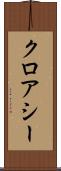 クロアシー Scroll