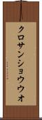 クロサンショウウオ Scroll