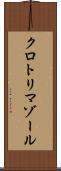 クロトリマゾール Scroll