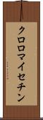 クロロマイセチン Scroll