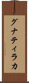 グナティラカ Scroll