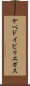 ケベドイビリエガス Scroll