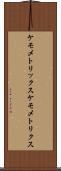 ケモメトリックス Scroll