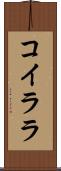 コイララ Scroll