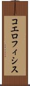 コエロフィシス Scroll