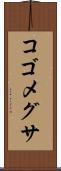 コゴメグサ Scroll