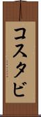 コスタビ Scroll