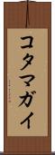 コタマガイ Scroll