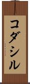 コダシル Scroll