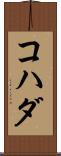 コハダ Scroll
