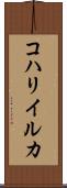 コハリイルカ Scroll