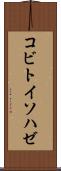コビトイソハゼ Scroll