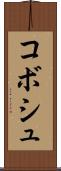 コボシュ Scroll
