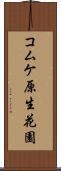コムケ原生花園 Scroll