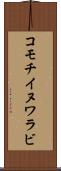 コモチイヌワラビ Scroll